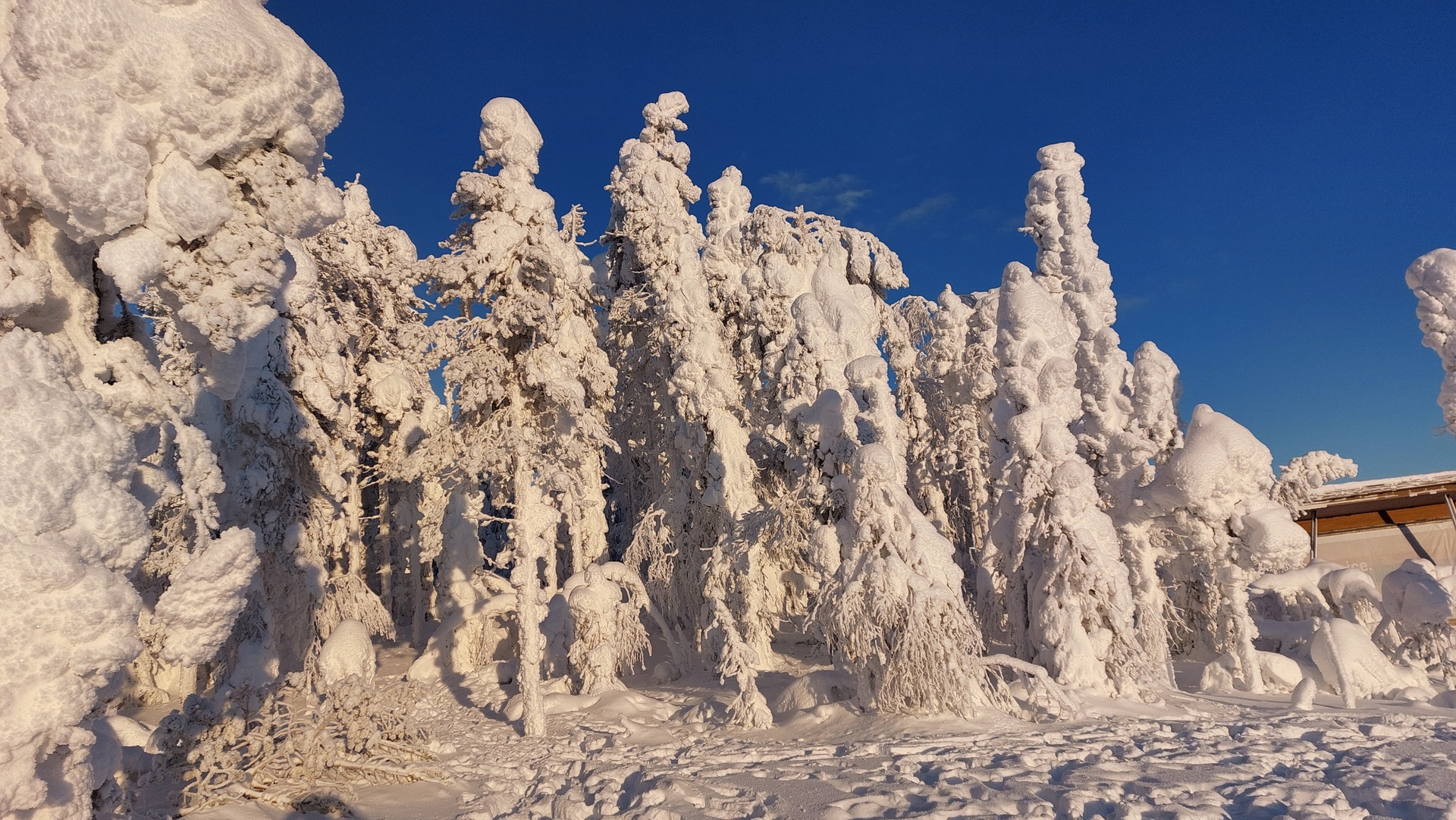 Adembenemend landschap in Lapland
